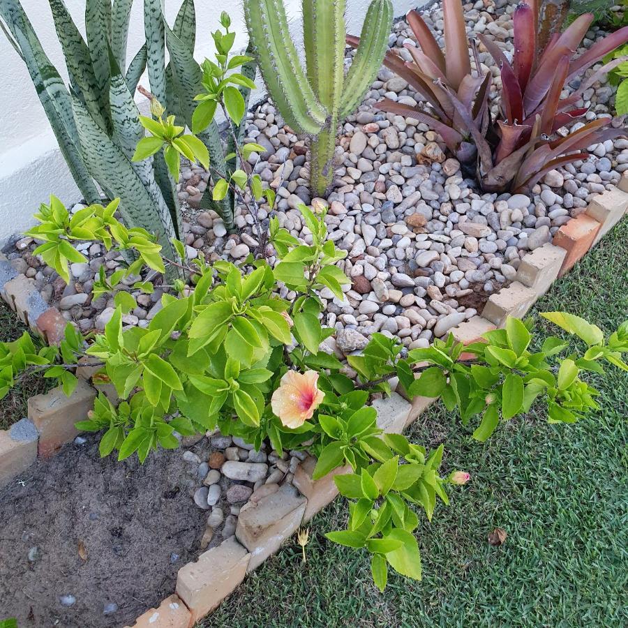 Casa Na De Aguas Belas - Holiday home *