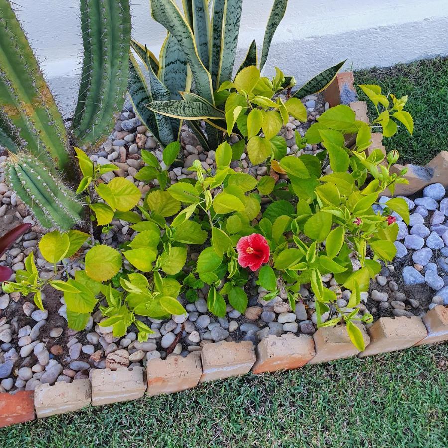 Casa Na De Aguas Belas - Holiday home Caponga